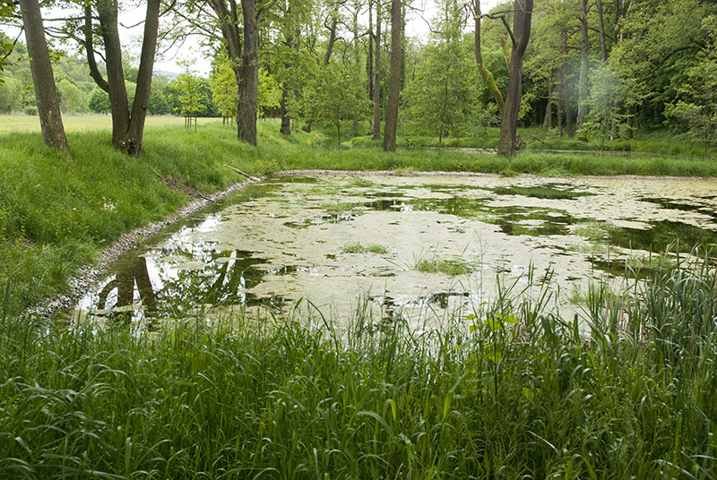 Zámecké rybníky